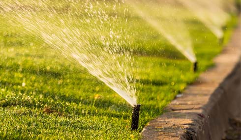 Manatee County Lawn Watering